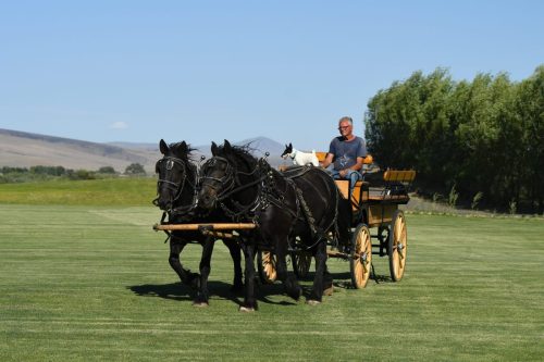 Design By KATHRYN Photography