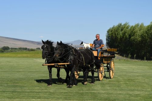 Design By KATHRYN Photography