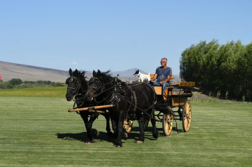 Design By KATHRYN Photography