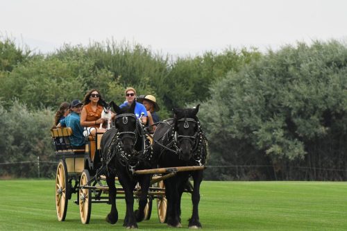 Design By KATHRYN Photography