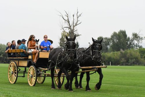 Design By KATHRYN Photography