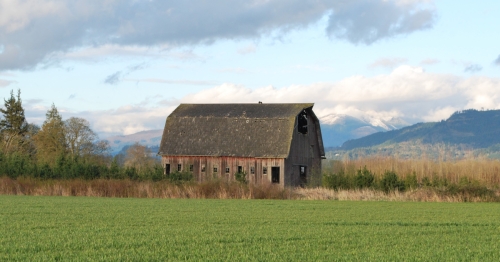 Barn Series 2020 Skagit Valley 