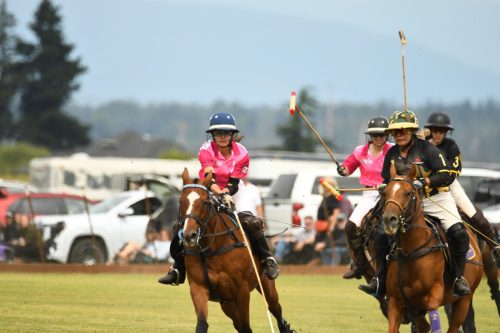 DSC 1635 (1)