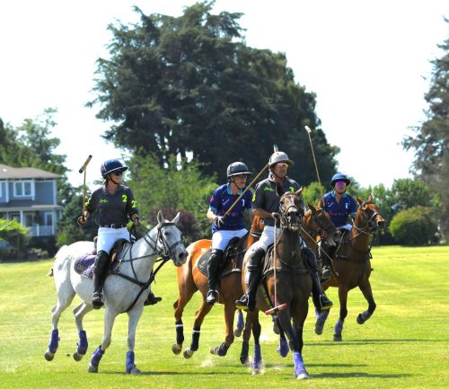 DSC 2007.jpg-2