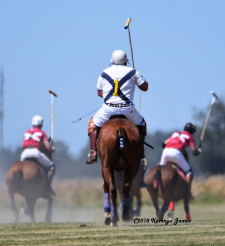 Polo La Conner  2019