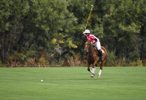 DSC 5259.jpg-2