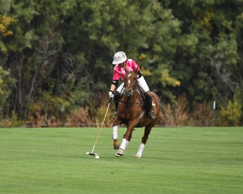 DSC 5263.jpg-2