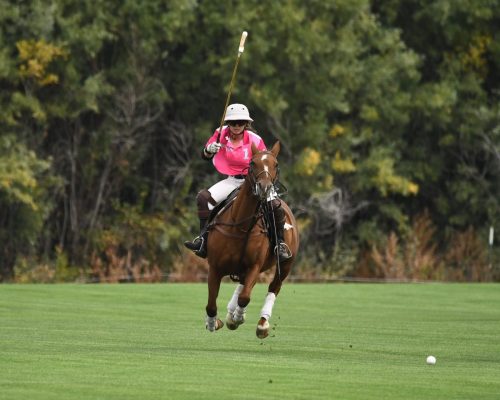 DSC 5265.jpg-2