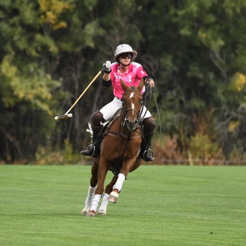DSC 5270.jpg-2