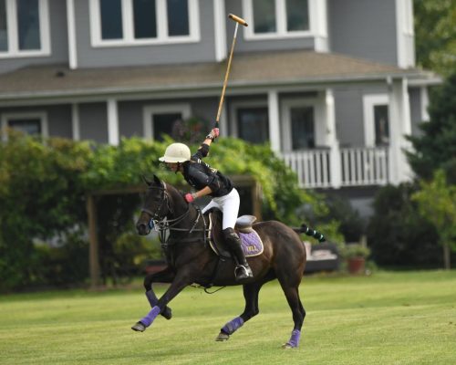 DSC 5274.jpg-1