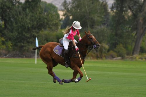 DSC 5561.jpg-2