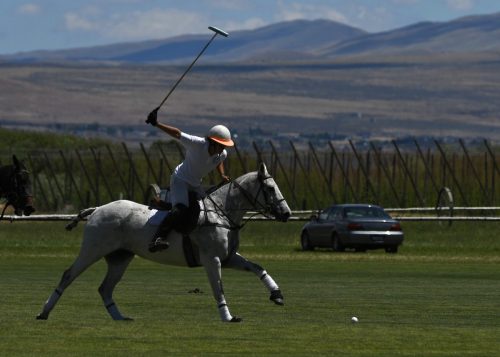 DSC 7268.jpg-1