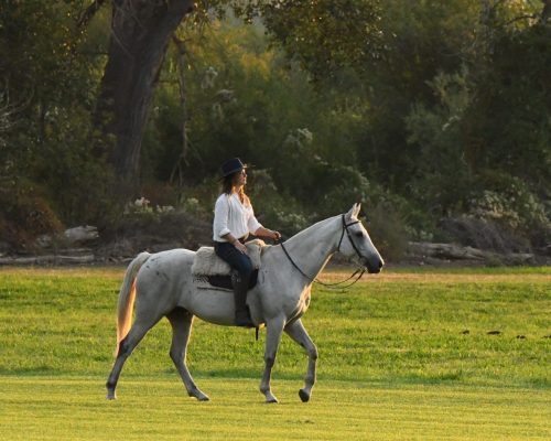 DSC 7577.jpg-C.jpg-c.jpg-5-8x10