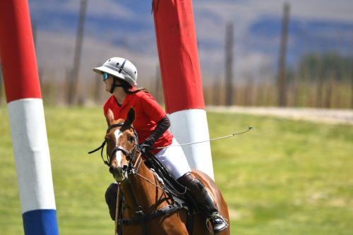 DSC 9986.jpg-2